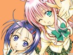 to_love_ru34