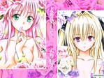 to_love_ru17