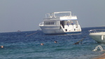 морее