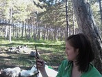 IMG504-01