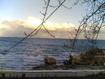 10022015