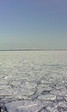 IMG_20150212_125417
