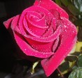 f 054