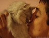 с котэ