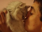 с котэ