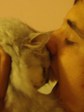с котэ2