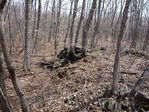 В засаде