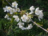 P4260037
