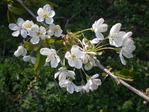 P4260037