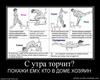 284030_s-utra-torchit