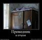 738217_provodnik