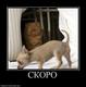 267377_skoro