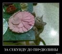 s3img_105146135_383_1[1]