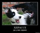s3img_28884756_11612_0[1]