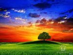 getImage22