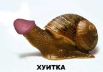 4f109c8758c29d312cd8689e8788aff9
