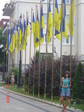 DSC04919