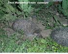 img_13832045_121_0