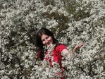 DSC01455-1