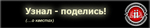 banner-scroll-quest