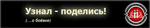 banner-scroll-fight
