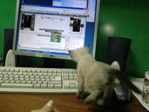 20120612185611