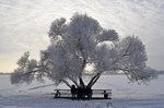 Гороховое озеро