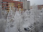 На кузнецовой