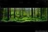 aqa_ru-20101008180703