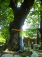 SAM_0200