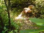 DSC00872
