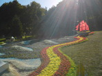 DSC00619