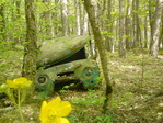 DSC00102