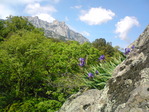 DSC00114