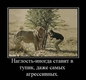 0cfc33041a