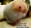 После отдыха )