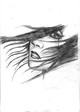 download (2)