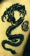 10tatoo_dragon_10_0105