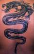 10tatoo_dragon_10_0145
