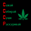 SSSR