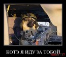 sobaka-jpg_IMGCzteaB_image