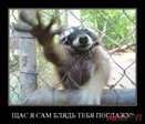poglazhu_IMGSZrw9a_image