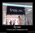 17-avtogop-demotivator_IMGjmbOWX_image
