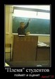 vogd-plemya-studentov_IMGb7Gr2f_image