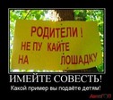 ne-pukayte-na-loshadku_IMG3gVtqG_image