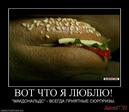 16-avtogop-demotivator_IMGAtaC8y_image