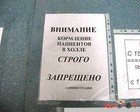 _IMGx8kMw6_image