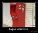 terminal-jpg_IMGNXlZ9G_image