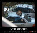 kote-jpg_IMGavsjGF_image