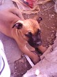 IMG0262A